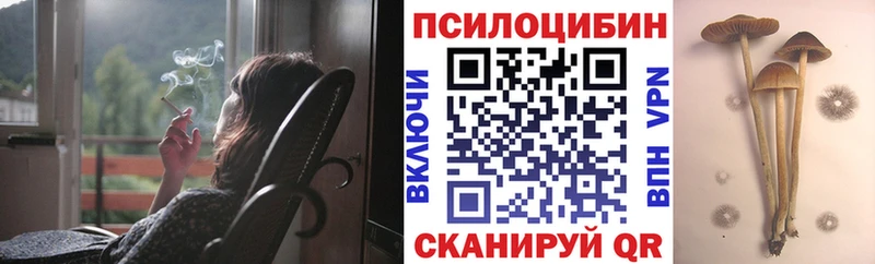 Псилоцибиновые грибы GOLDEN TEACHER  Богородск 
