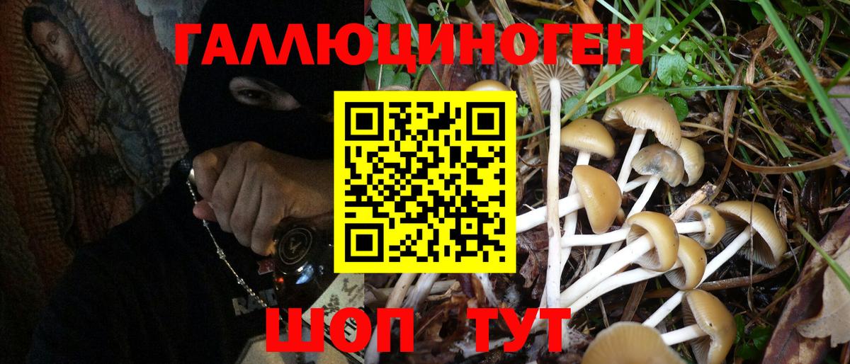 Галлюциногенные грибы Psilocybine cubensis  Вход с VPN  Богородск 