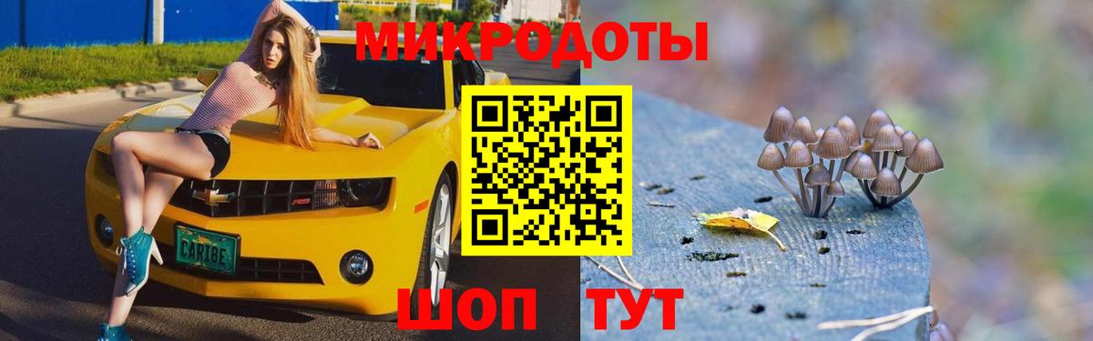 Псилоцибиновые грибы Magic Shrooms Богородск